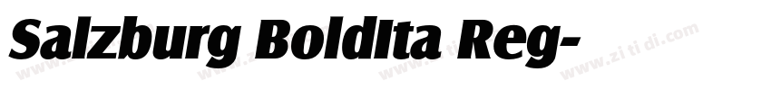 Salzburg BoldIta Reg字体转换